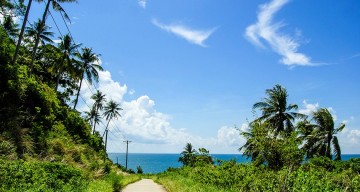 Tour Hòn Sơn 2 Ngày 1 Đêm Từ Rạch Giá