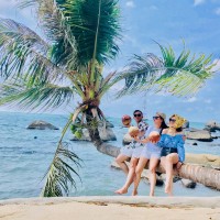 Cây Dừa Nằm Hòn Sơn
