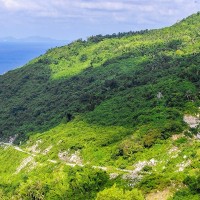 Đường Lên Đỉnh Yên Ngựa Hòn Sơn